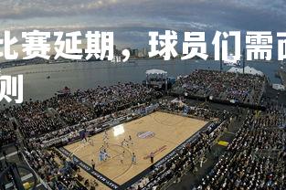 德信app-欧预赛比赛延期，球员们需面对新的挑战，欧预赛赛程2020规则